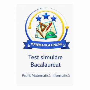 simulare matematica informatica